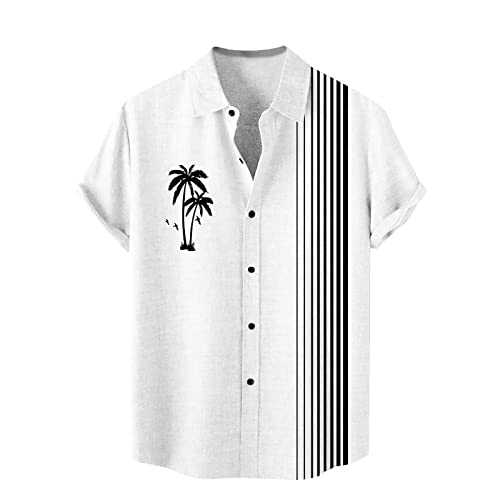 Men's Floral Shirts Button Down Tropical Holiday Beach Shirts Summer Clothes Men
