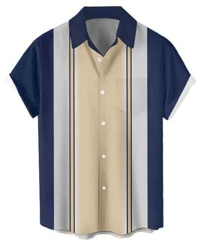 BASHAMAN Men's Short Sleeves 3D Digital Printing Beach Shirt Outdoor Travel Retro Trend Hawaii Shirts Button Placket Casual Fashion Tops