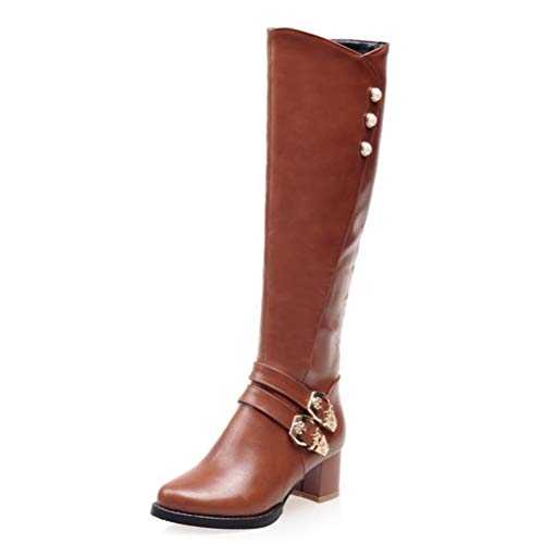 Women Knee High Boots Side Zipper Short Plush Autumn Winter Warm Buckle Decoration Square Heels