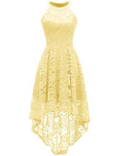 Dressystar Women's Halter Hi-Lo Floral Lace Cocktail Party Dress Formal Dress