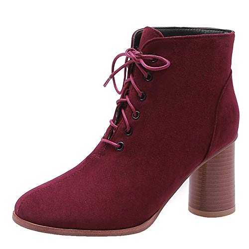 StyliShoes Women Lace-up Ankle Boots with Block Heel