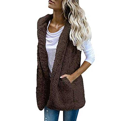 IBAOBAO Lulupi Teddy Fleece Gilet for Women Sleeveless Hooded Zip Waistcoat Vest Solid Color Body Warmer Lightweight Cozy Gilets Jacket with Pockets, L