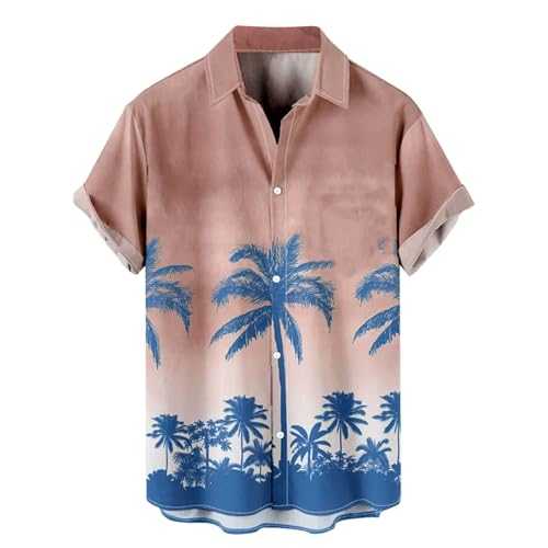 BASHAMAN Men's Short Sleeves 3D Digital Printing Fashion Tops Button Placket Casual Hawaii Shirts Outdoor Travel Retro Trend Beach Shirt