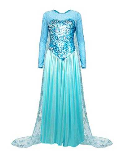 Nofonda Women's Elegant Princess Dress Costume Elsa Blue Fancy Dress for Halloween Costume Cosplay (Medium)